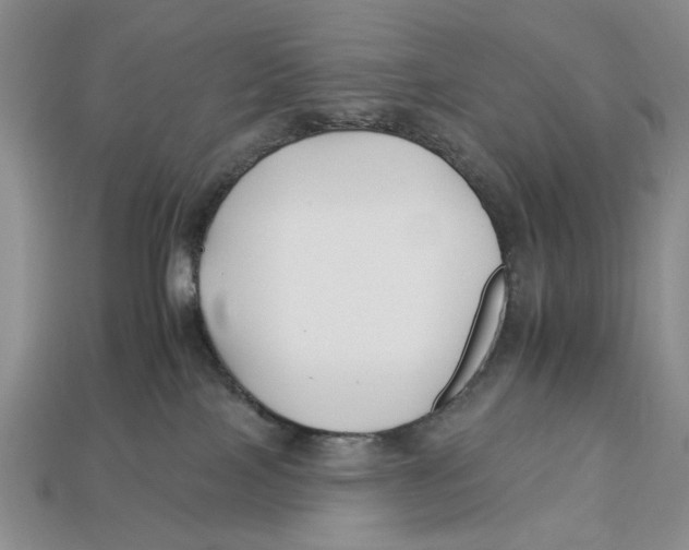 X0000112930089200909211122