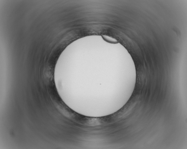 X0000112930091200909211122