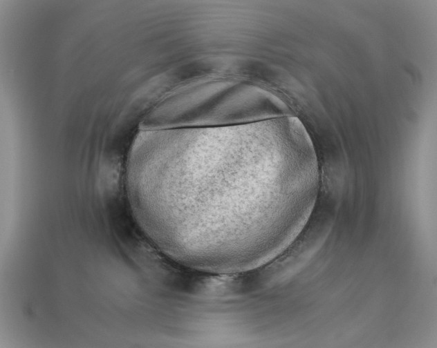 X0000112930092200909211122