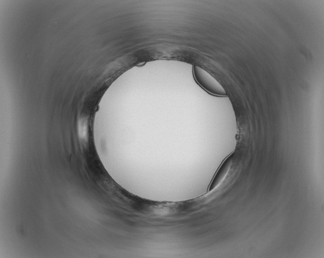 X0000112930094200909211122