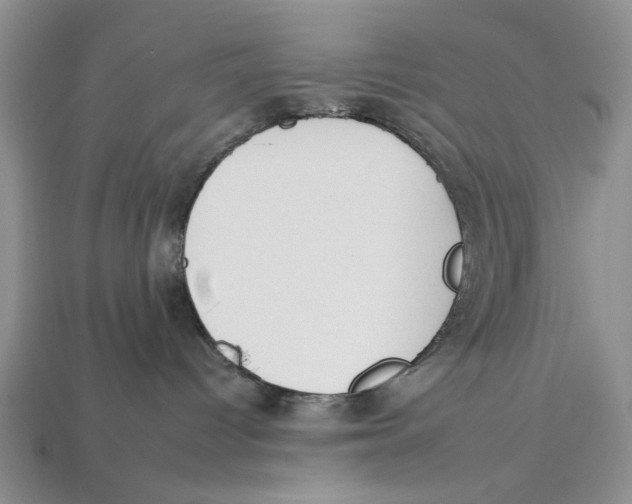 X0000112930096200909211122