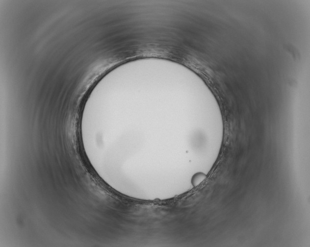 X0000112930098200909211121