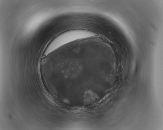 X0000112930099200909211121