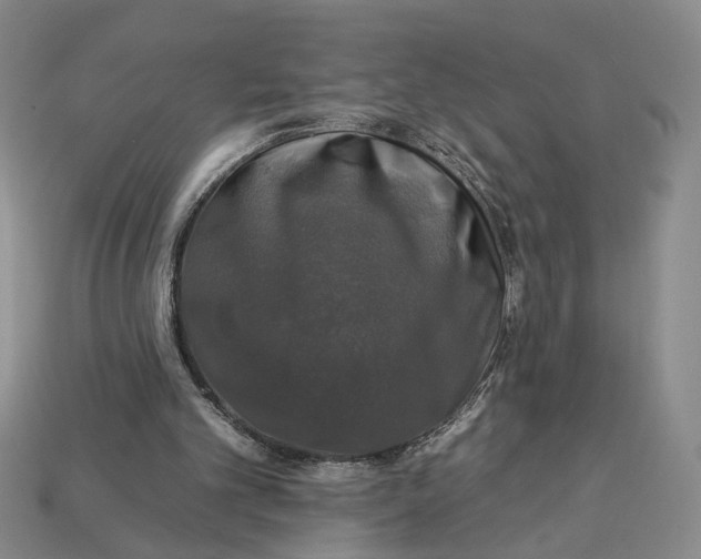X0000112930101200909211121