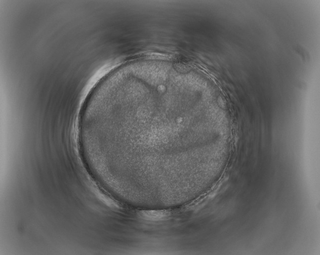X0000112930102200909211121