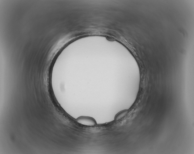X0000112930103200909211121