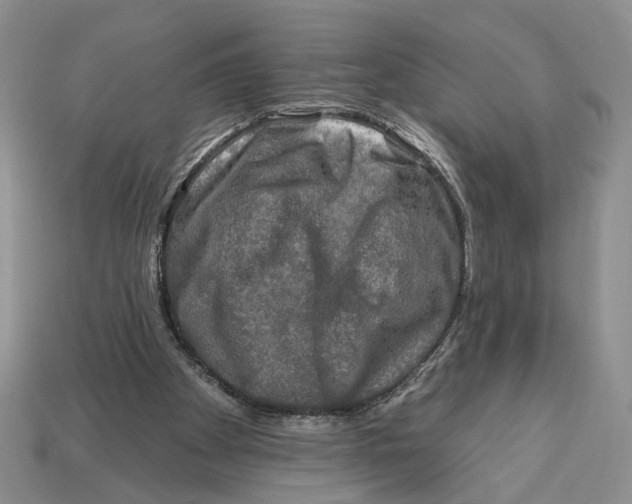 X0000112930105200909211121