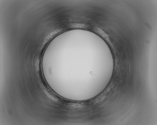 X0000112930106200909211121