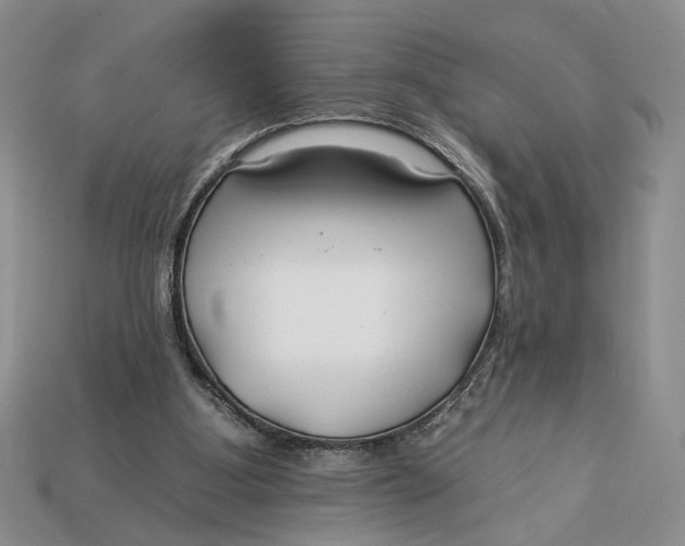 X0000112930107200909211121
