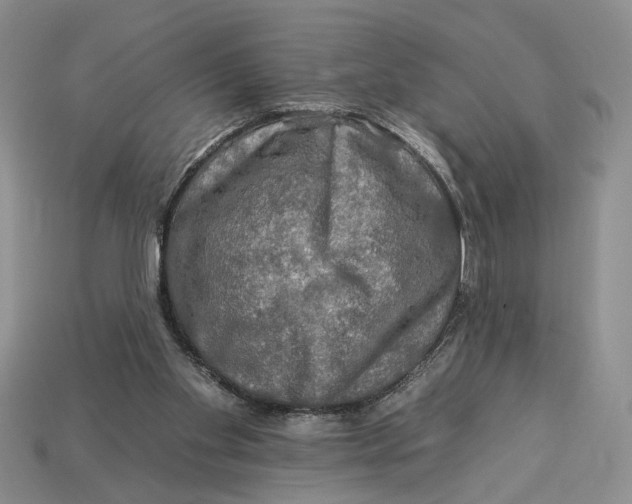 X0000112930109200909211121