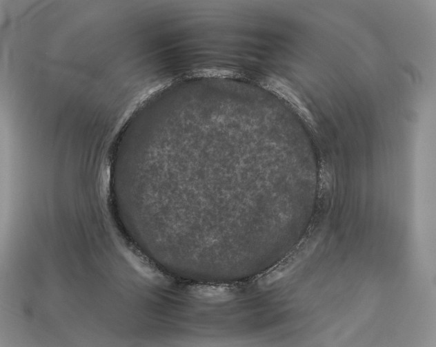 X0000112930110200909211121