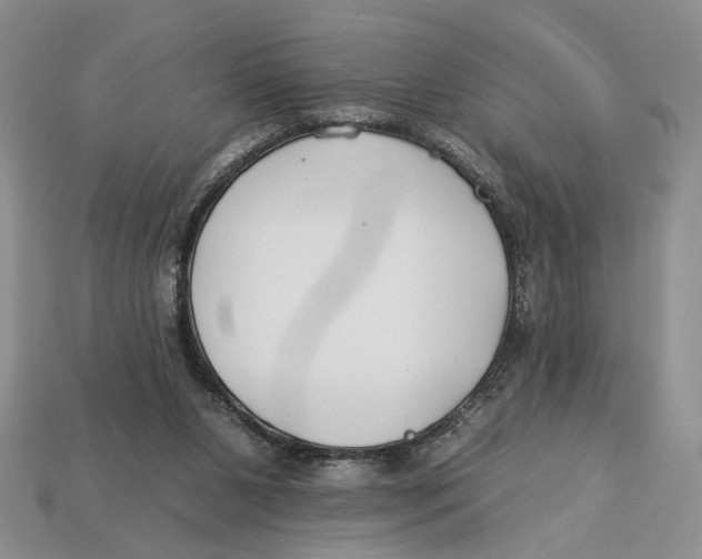 X0000112930111200909211121