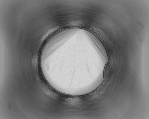 X0000112930112200909211121