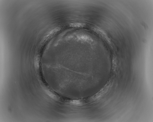 X0000112930114200909211121