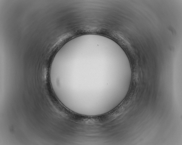 X0000112930115200909211121