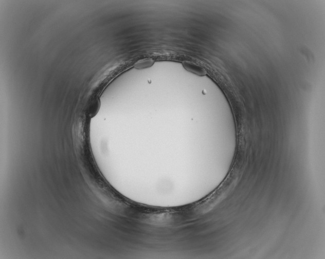 X0000112930116200909211121