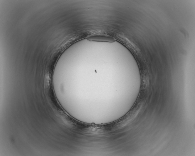 X0000112930117200909211121