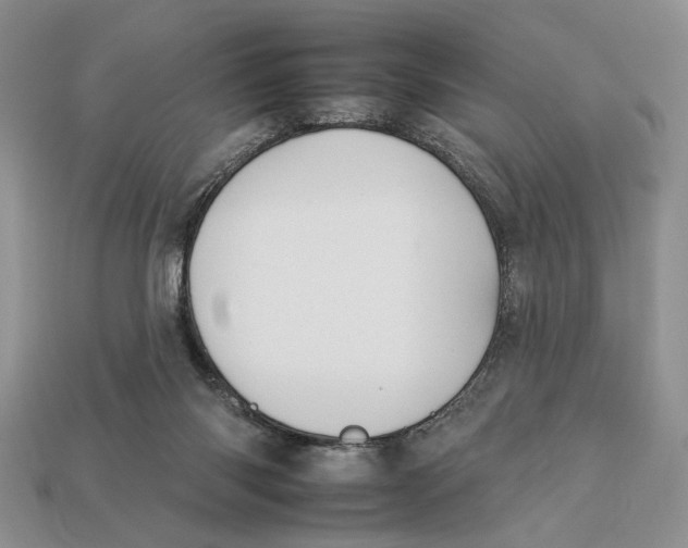 X0000112930118200909211121