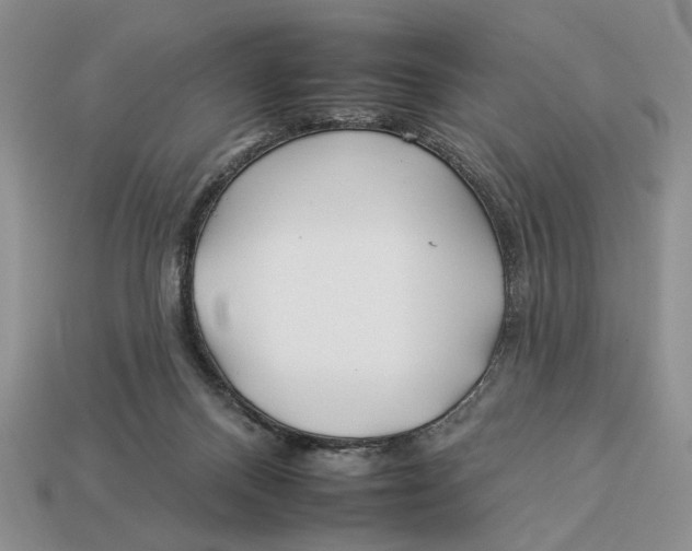 X0000112930120200909211121