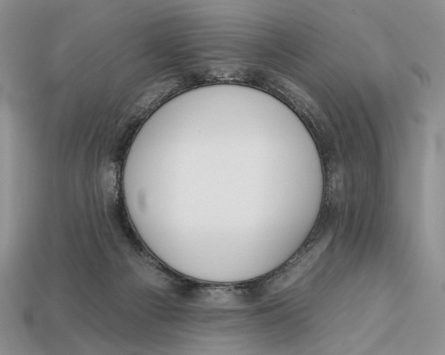 X0000112930121200909211121