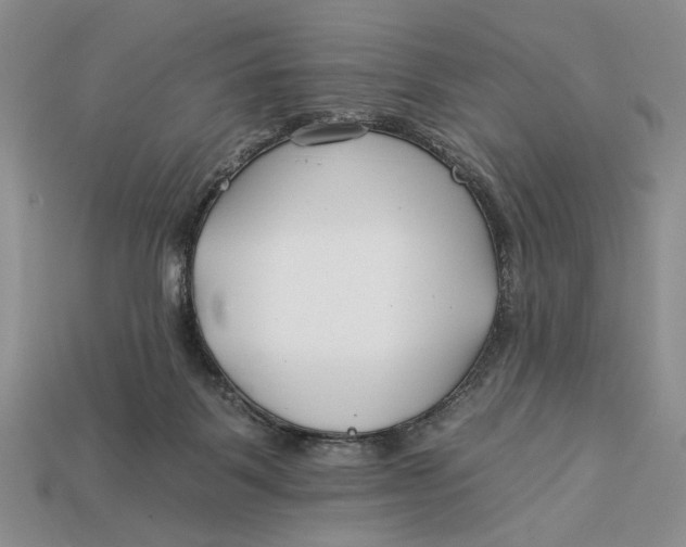 X0000112930123200909211121