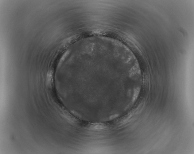 X0000112930127200909211121