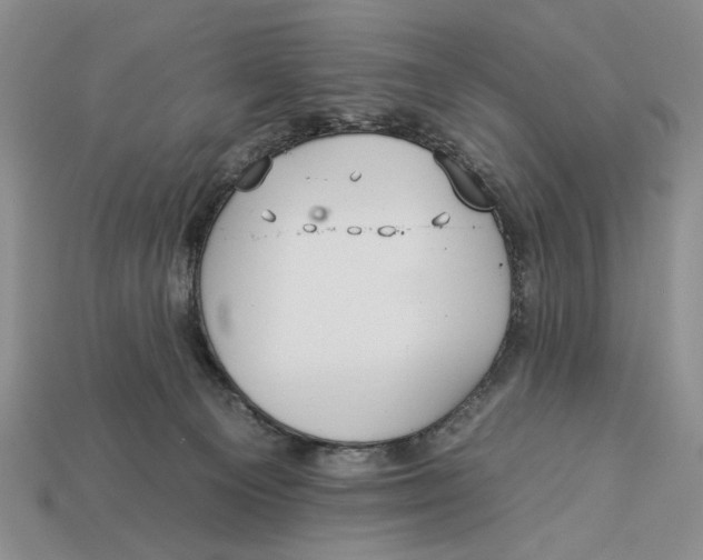 X0000112930129200909211121