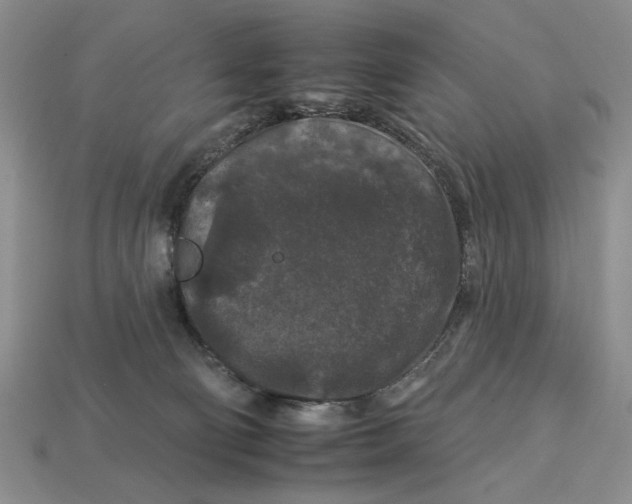 X0000112930130200909211121