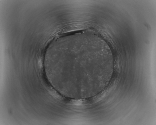 X0000112930131200909211121