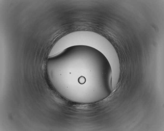 X0000112930132200909211121