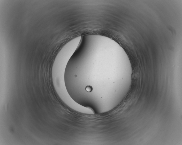 X0000112930133200909211121
