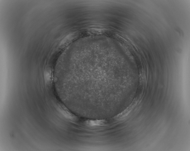 X0000112930134200909211121