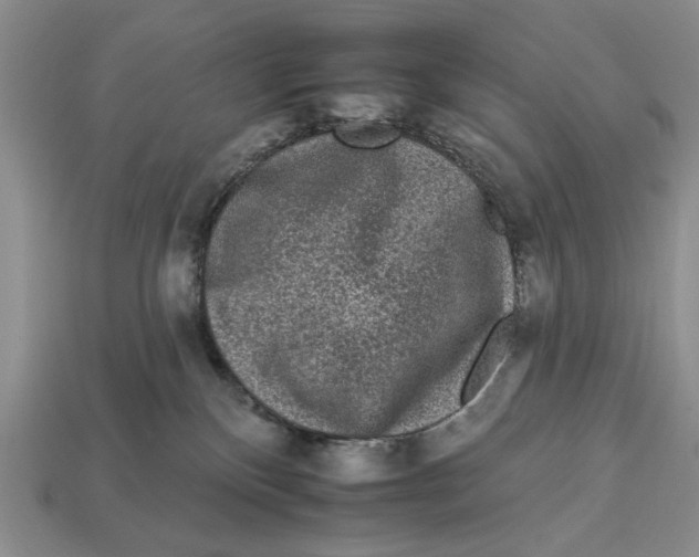 X0000112930136200909211121
