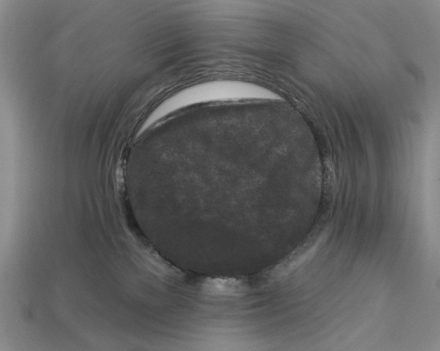 X0000112930137200909211121