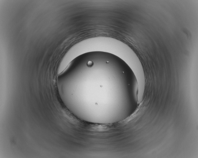 X0000112930140200909211121