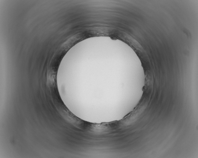X0000112930141200909211121