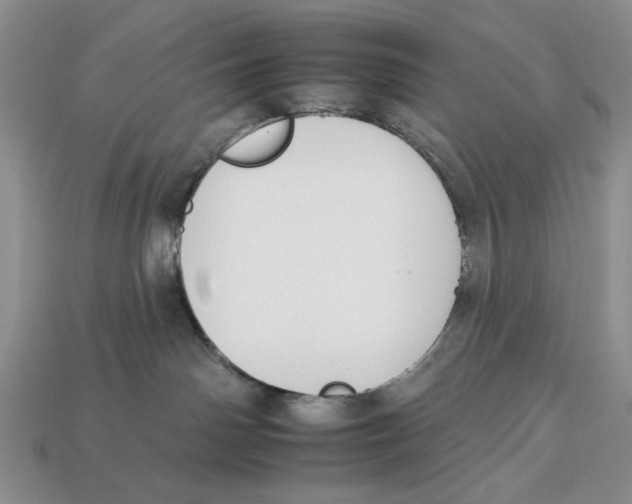 X0000112930142200909211121