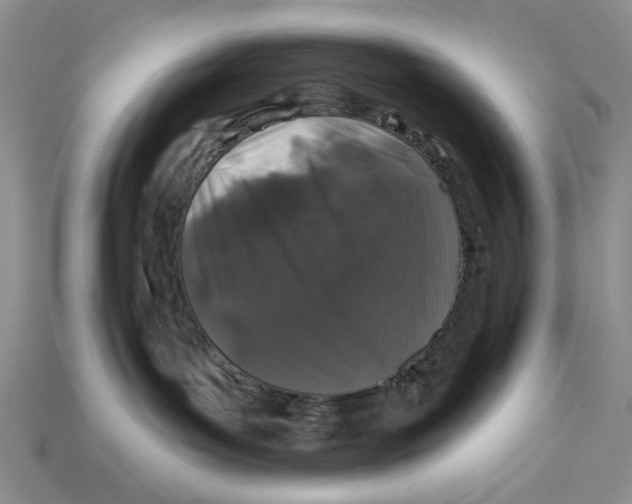 X0000112930143200909211121