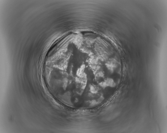 X0000112930145200909211120