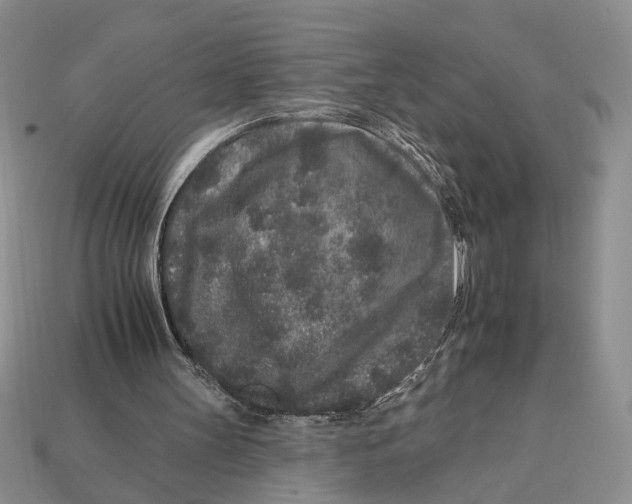 X0000112930147200909211120