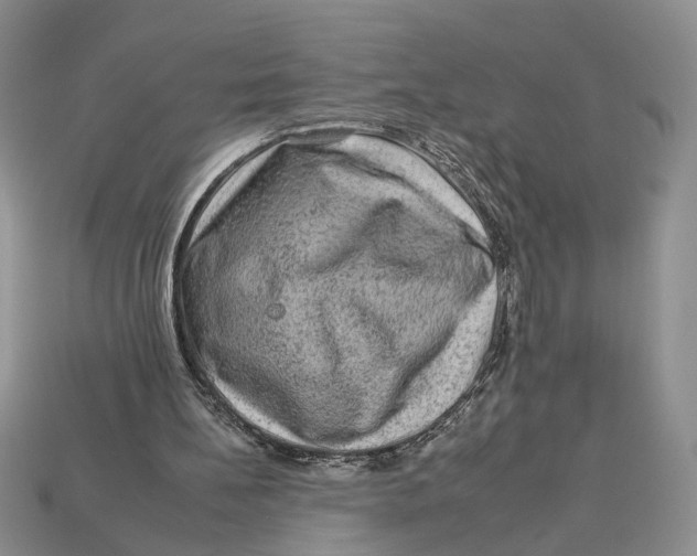 X0000112930148200909211120