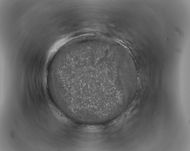 X0000112930149200909211120