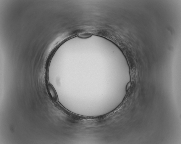 X0000112930150200909211120