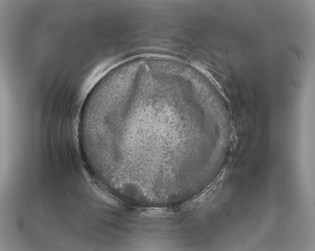 X0000112930151200909211120