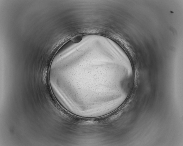 X0000112930153200909211120