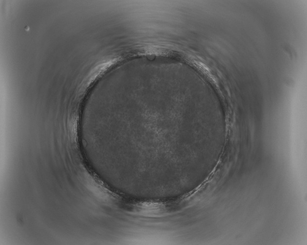 X0000112930154200909211120