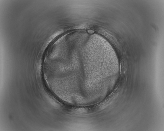 X0000112930156200909211120