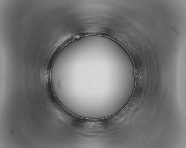 X0000112930160200909211120