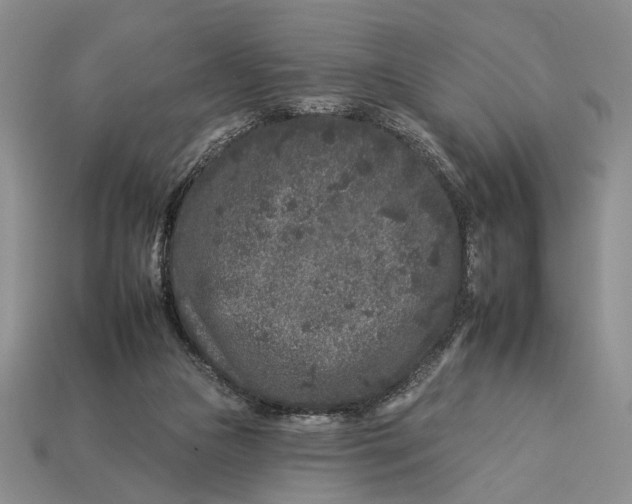 X0000112930161200909211120