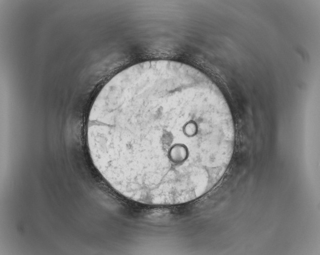 X0000112930162200909211120